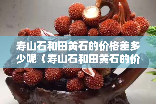 壽山石和田黃石的價格差多少呢（壽山石和田黃石的價格差多少呢）