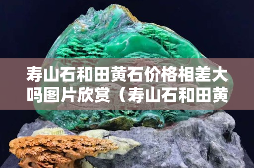 壽山石和田黃石價格相差大嗎圖片欣賞（壽山石和田黃石價格相差大嗎圖片欣賞）