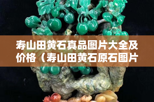 壽山田黃石真品圖片大全及價格（壽山田黃石原石圖片剛出土的田黃）