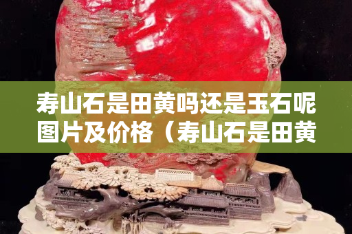 壽山石是田黃嗎還是玉石呢圖片及價格（壽山石是田黃嗎還是玉石呢圖片及價格）