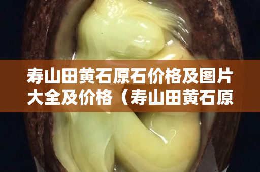 壽山田黃石原石價格及圖片大全及價格（壽山田黃石原石價格及圖片大全及價格表）
