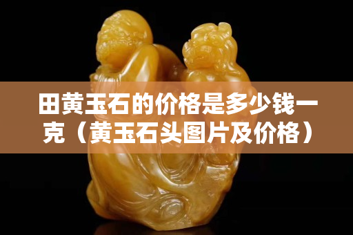 田黃玉石的價格是多少錢一克（黃玉石頭圖片及價格）