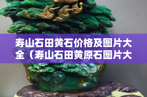 壽山石田黃石價格及圖片大全（壽山石田黃原石圖片大全）