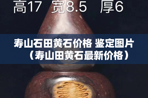 壽山石田黃石價格 鑒定圖片（壽山田黃石最新價格）