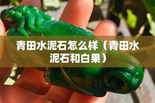 青田水泥石怎么樣（青田水泥石和白果）