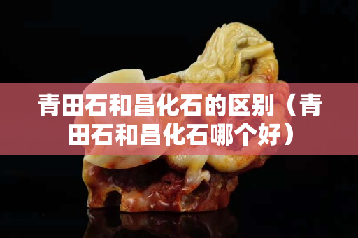 青田石和昌化石的區別（青田石和昌化石哪個好）