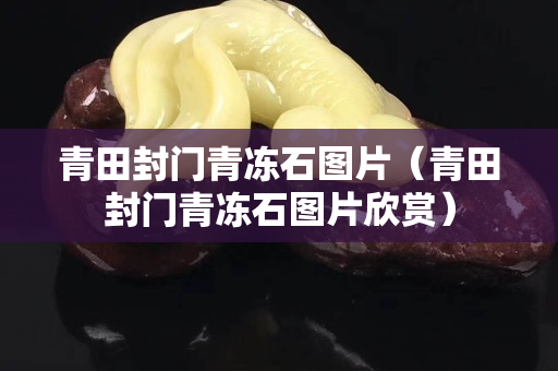 青田封門青凍石圖片（青田封門青凍石圖片欣賞）