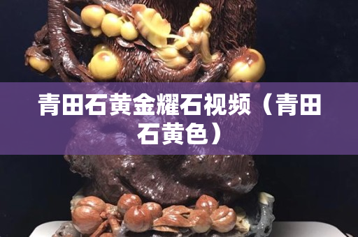 青田石黃金耀石視頻（青田石黃色）
