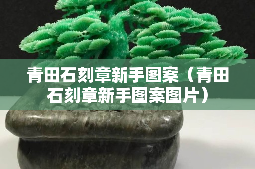 青田石刻章新手圖案（青田石刻章新手圖案圖片）