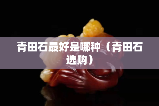 青田石最好是哪種（青田石選購）