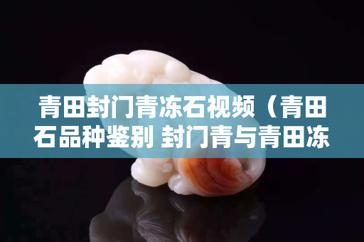 青田封門青凍石視頻（青田石品種鑒別 封門青與青田凍石）