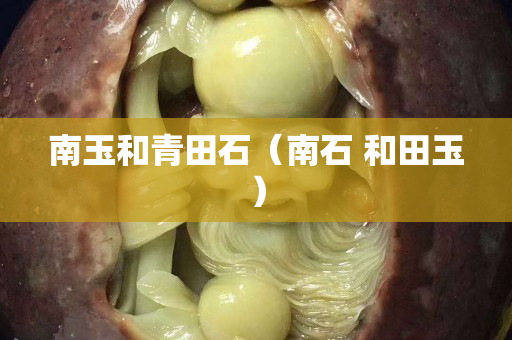 南玉和青田石（南石 和田玉）
