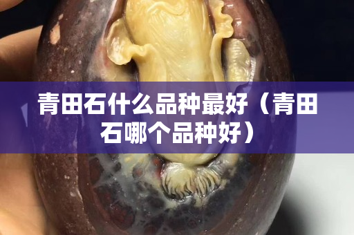 青田石什么品種最好（青田石哪個品種好）