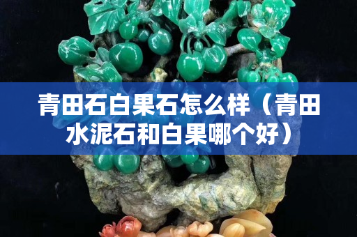 青田石白果石怎么樣（青田水泥石和白果哪個好）