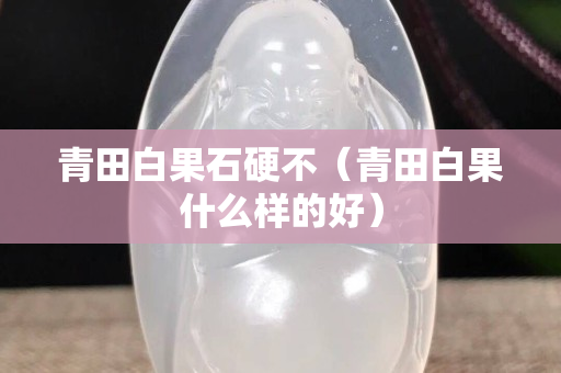 青田白果石硬不（青田白果什么樣的好）