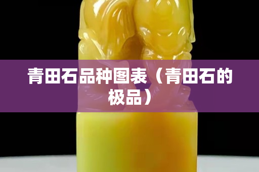 青田石品種圖表（青田石的極品）