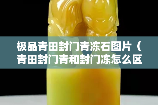 極品青田封門青凍石圖片（青田封門青和封門凍怎么區分）