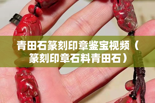 青田石篆刻印章鑒寶視頻（篆刻印章石料青田石）