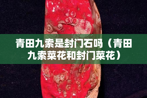青田九索是封門石嗎（青田九索菜花和封門菜花）