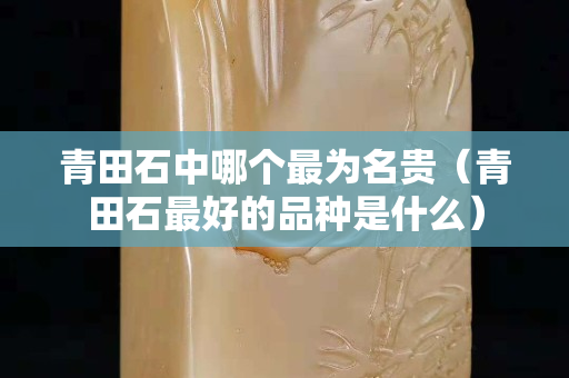 青田石中哪個最為名貴（青田石最好的品種是什么）