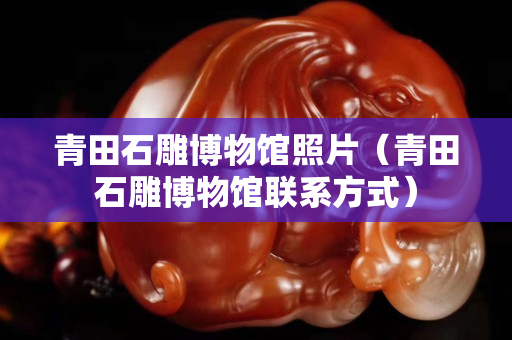 青田石雕博物館照片（青田石雕博物館聯(lián)系方式）