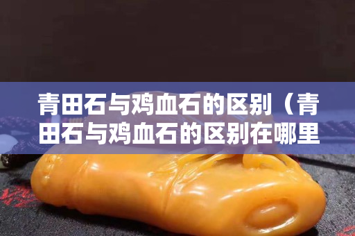 青田石與雞血石的區別（青田石與雞血石的區別在哪里）