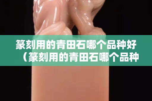 篆刻用的青田石哪個(gè)品種好（篆刻用的青田石哪個(gè)品種好看）