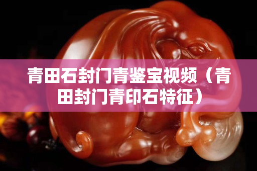 青田石封門青鑒寶視頻（青田封門青印石特征）