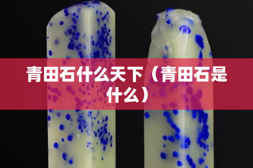 青田石什么天下（青田石是什么）