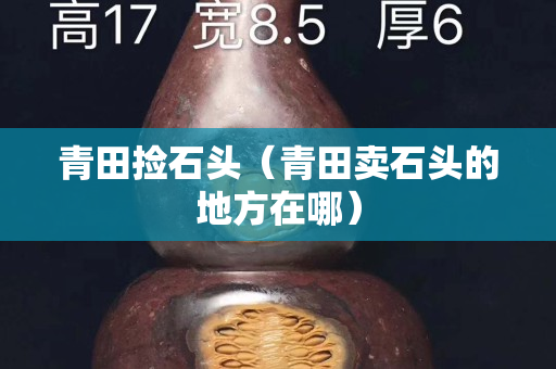 青田撿石頭（青田賣石頭的地方在哪）