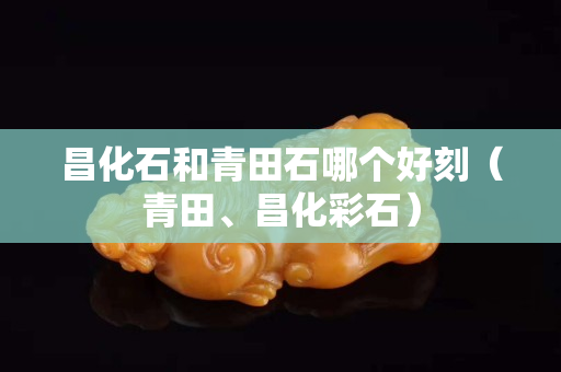 昌化石和青田石哪個好刻（青田、昌化彩石）