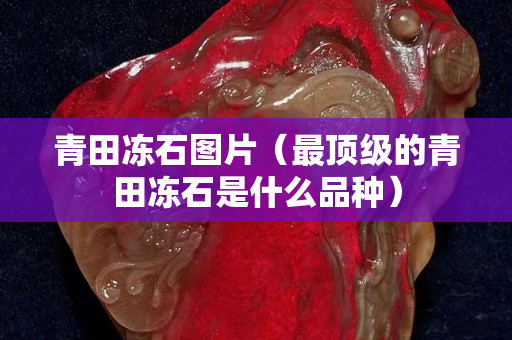 青田凍石圖片（最頂級的青田凍石是什么品種）