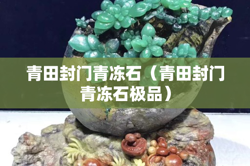 青田封門青凍石（青田封門青凍石極品）