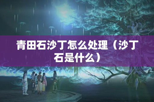 青田石沙丁怎么處理（沙丁石是什么）