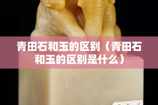 青田石和玉的區別（青田石和玉的區別是什么）