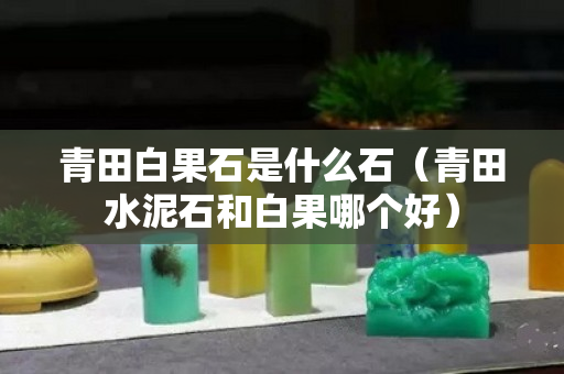青田白果石是什么石（青田水泥石和白果哪個好）