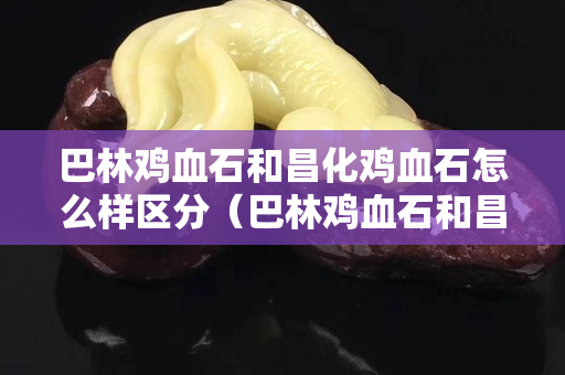 巴林雞血石和昌化雞血石怎么樣區分（巴林雞血石和昌化雞血石怎么樣區分呢）