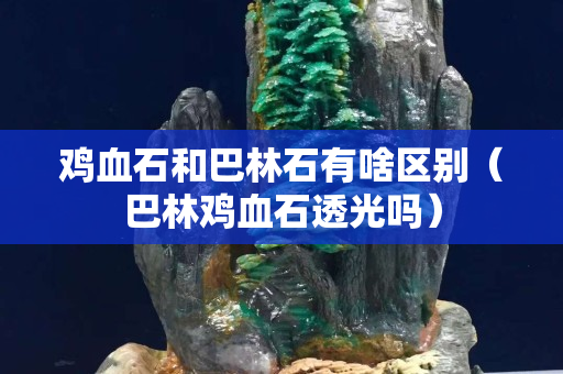 雞血石和巴林石有啥區(qū)別（巴林雞血石透光嗎）