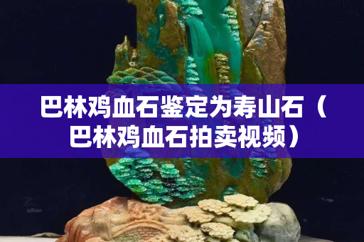 巴林雞血石鑒定為壽山石（巴林雞血石拍賣視頻）