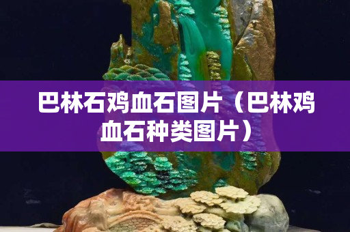 巴林石雞血石圖片（巴林雞血石種類圖片）