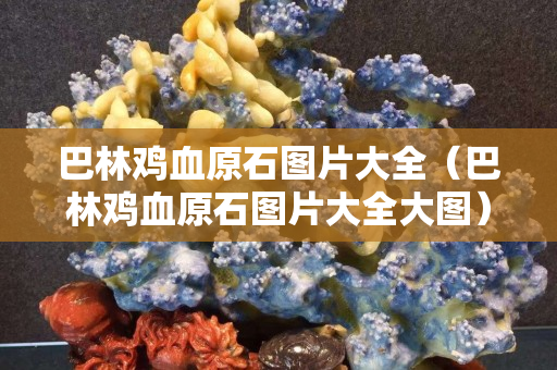 巴林雞血原石圖片大全（巴林雞血原石圖片大全大圖）
