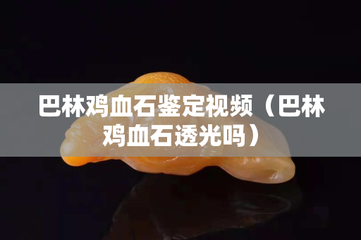 巴林雞血石鑒定視頻（巴林雞血石透光嗎）