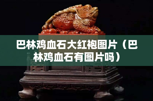 巴林雞血石大紅袍圖片（巴林雞血石有圖片嗎）