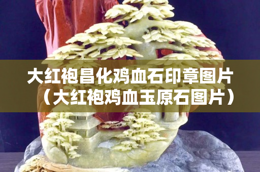 大紅袍昌化雞血石印章圖片（大紅袍雞血玉原石圖片）