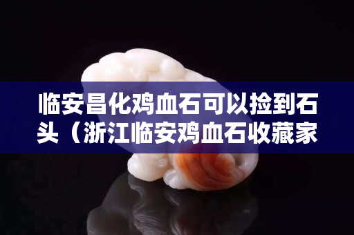 臨安昌化雞血石可以撿到石頭（浙江臨安雞血石收藏家）