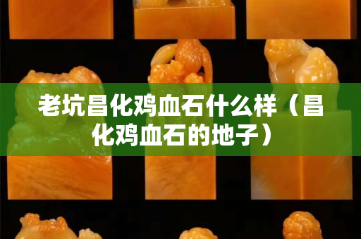老坑昌化雞血石什么樣（昌化雞血石的地子）