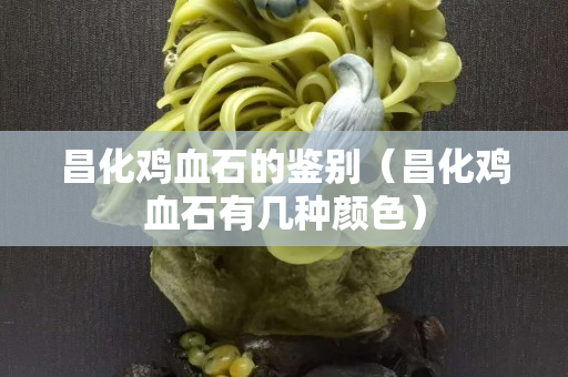昌化雞血石的鑒別（昌化雞血石有幾種顏色）