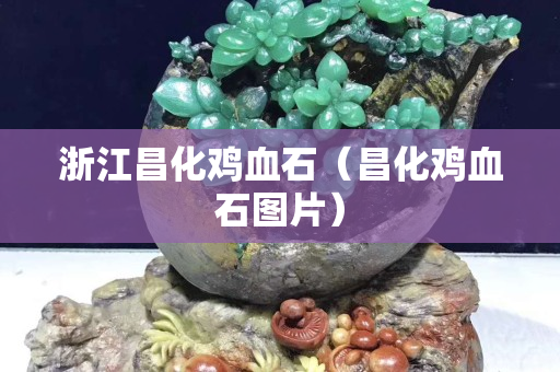 浙江昌化雞血石（昌化雞血石圖片）