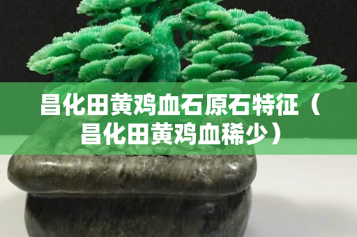 昌化田黃雞血石原石特征（昌化田黃雞血稀少）