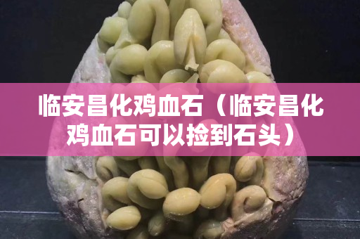 臨安昌化雞血石（臨安昌化雞血石可以撿到石頭）